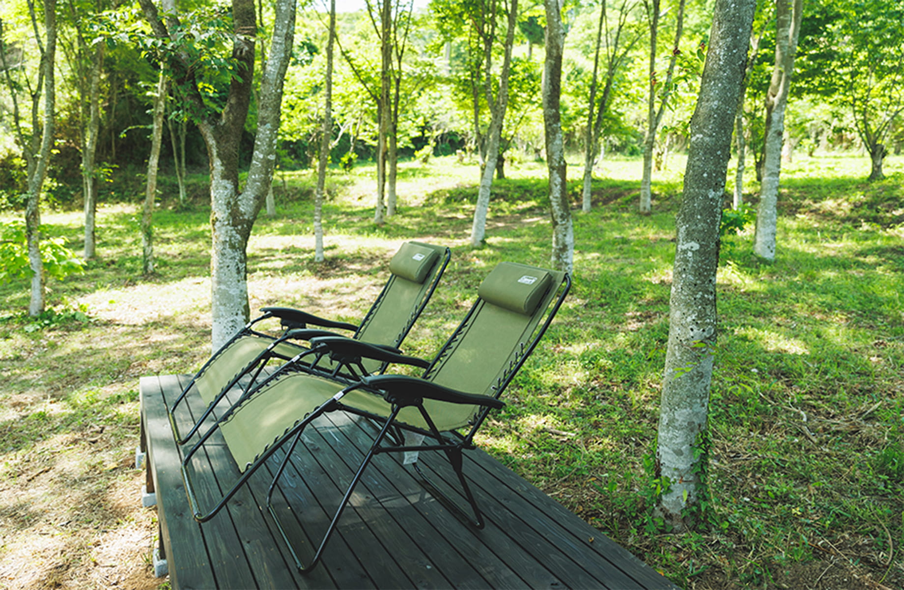 森のサウナのイメージ写真